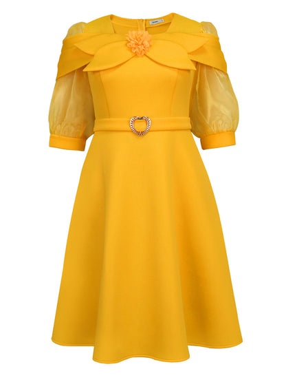 Bow Tie Lantern Sleeve A-Line Dress