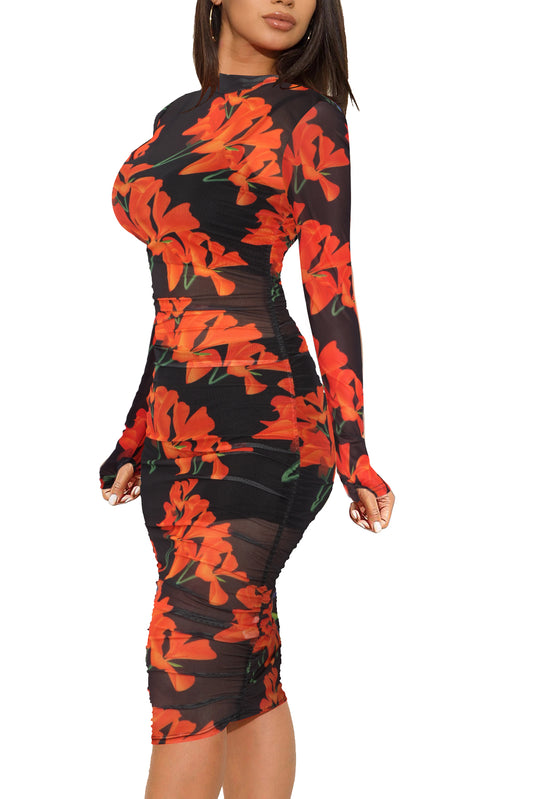 Bulk Sale Box - 12 Pcs