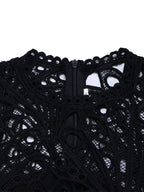 Plus Size Lace Hollow Out Pleated Dress