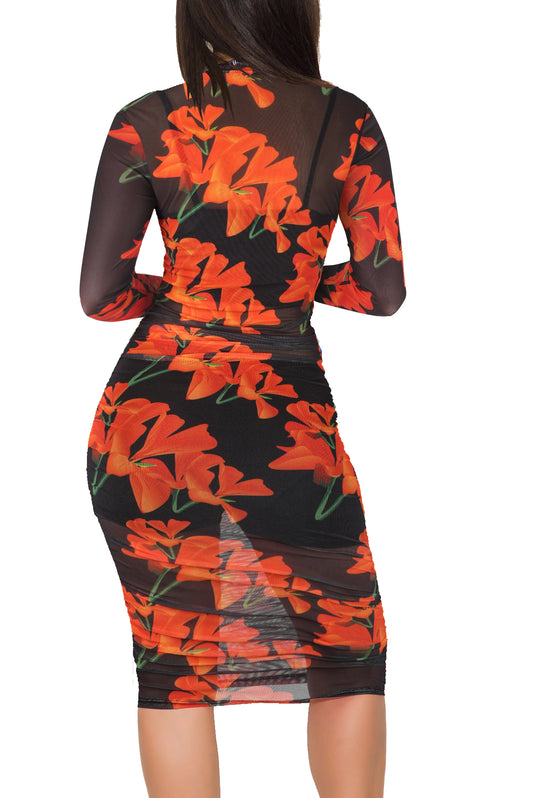 Bulk Sale Box - 12 Pcs