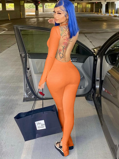 Bulk Sale Box - 5 Pcs