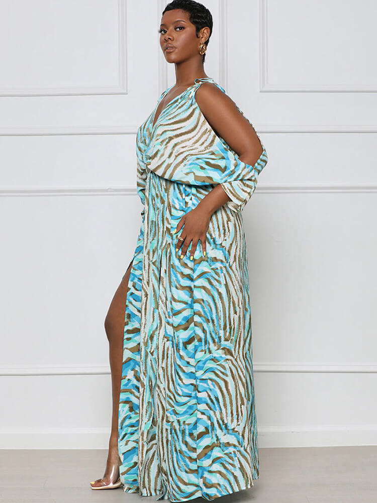Long Sleeve Zebra Printed Off Shoulder V Neck Maxi Dresses | Dresses ...