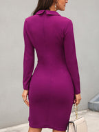 Long Sleeve Elegant V Neck Mini Dress