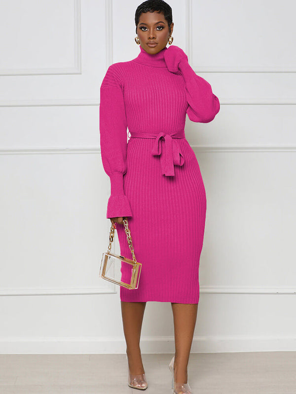 High Neck Long Sleeve Solid Midi Dreses